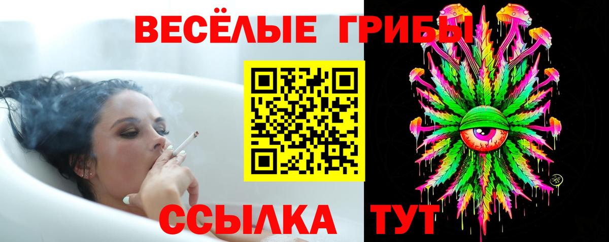 Псилоцибиновые грибы Psilocybe Железноводск
