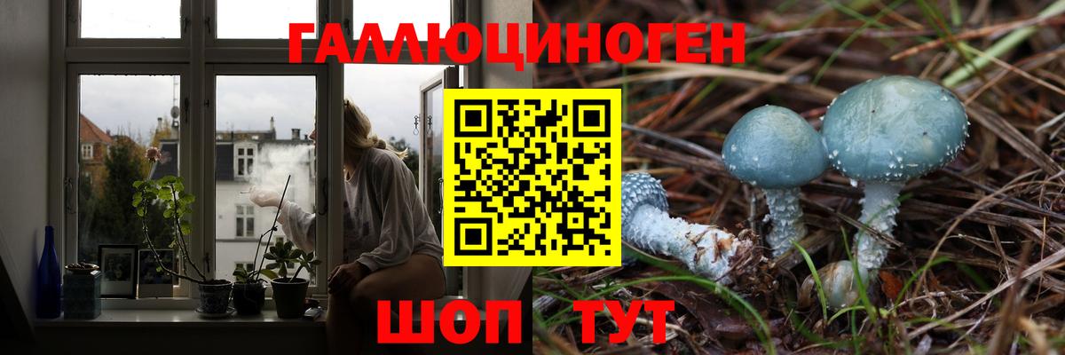 Псилоцибиновые грибы Magic Shrooms  Вход с VPN  Псилоцибиновые грибы ЛСД  Железноводск 
